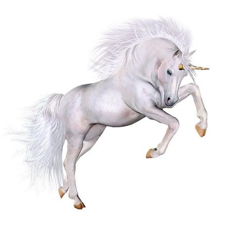 Unicorn Images, Unicorn Png, Unicorns Png, Unicorns Clipart, Last Unicorn, Fantasy Horses, The Last Unicorn, Free Clipart Images, Unicorn Horse