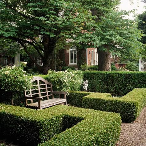 Knowing when to prune your plants is important for keeping them looking their best. Consider this your complete guide to pruning your shrubs, roses, hydrangeas, trees, and more like a gardening expert. Boxwood Hedges, Pruning Plants, Boxwood Garden, Courtyard Ideas, Small Courtyard, Garden Hedges, Formal Garden, Garden Shrubs, Have Inspiration