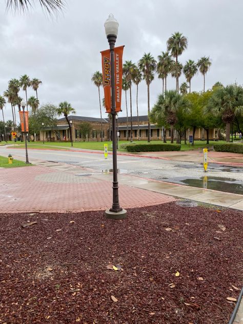 Rio Grande Valley, University Of Texas, Rio Grande, The Valley, Lamp Post, Texas, University, Quick Saves