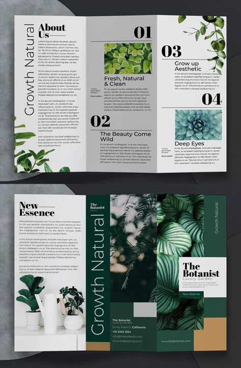 Brochure Layout Trifold, Research Brochure Design, Brosure Design Creative, Graphic Design Brochure Creative, Leaflets Design Layout, Creative Brochure Design Ideas Layout, Brochure Page Design, Leaflet Design Layout Creative, Leaflet Graphic Design