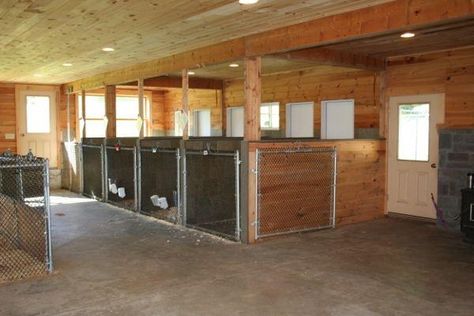 30+ Best Indoor Dog Kennel Ideas | Page 5 of 9 | The Paws Dog Breeder Setup, Kennel Design, Dog Boarding Ideas, Building A Dog Kennel, Dogs House, Dog Boarding Facility, Dog Boarding Kennels, Insulated Dog House, Boarding Facility