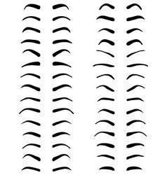 Anime Eyebrows, Eyebrows Tattoo, Types Of Eyebrows, Eyebrow Makeup Tips, How To Draw Eyebrows, Face Sketch, Figure Sketching, Drawing Tutorial Easy, Black Silhouette