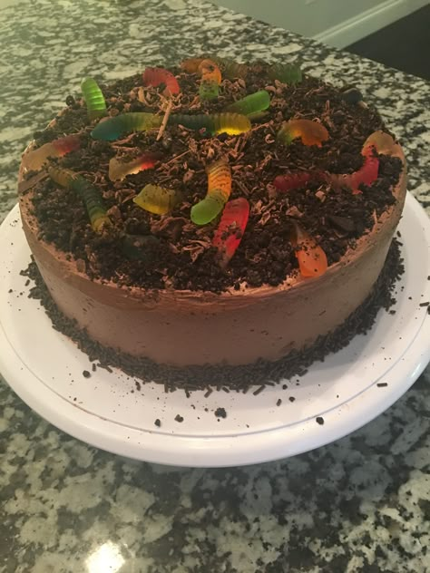 Chocolate dirt cake (with gummy worms) Gummy Worms In Dirt, Gummy Worm Dirt Cake, Worms In Dirt Cake, Gummy Cake Birthdays, Worms And Dirt Cake, Dirt Worm Cake, Dirt And Worms Cake, Dirt Cake Birthday, Gummy Worm Cake