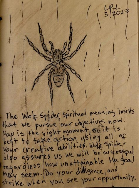 Spider Totem Meaning, Spiders In Witchcraft, Spider Web Meaning, Spider Omen Meaning, Spirit Animal Spider, Bugs Spiritual Meaning, Brown Spider Spiritual Meaning, Astral Spiders, Spider Tattoo Meaning