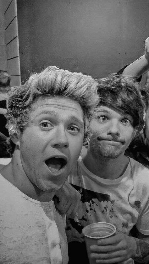 Louis And Niall Wallpaper, One Direction Drawings, 1d Day, Harry Styles Edits, One Direction Photos, Irish Princess, Five Guys, Frat Boy, One Direction Harry