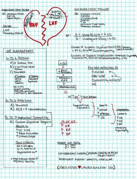 Heart Failure...right and left sided Cardiac Rehab, Nursing School Prerequisites, Nursing Mnemonics, Cardiac Nursing, Nursing School Survival, Critical Care Nursing, Nurse Rock, Nursing School Studying, Nursing School Notes