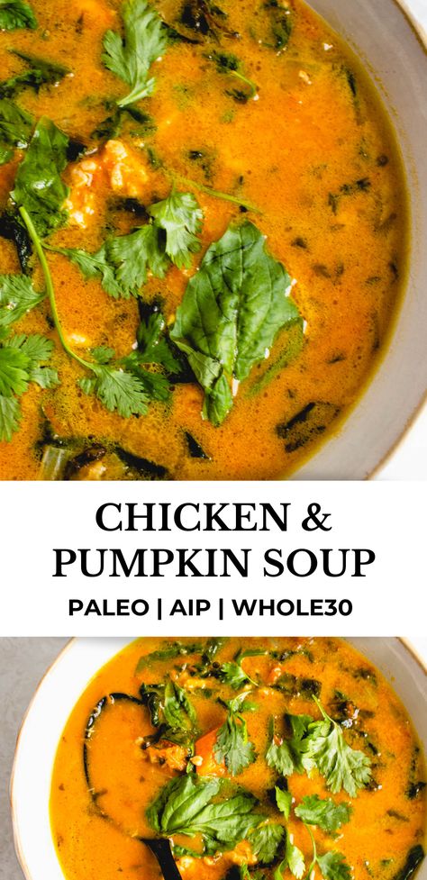 This Slow Cooker Chicken and Pumpkin Soup is a hearty, rich, creamy and delicious dish. Made using fresh pumpkin, ground chicken, fresh basil and cilantro, it's AIP, paleo, flavor packed and sure to please! #healmedelicious #aip #aiprecipes #paleo #paleorecipes #whole30 #whole30recipes #autoimmunedisease #aipdiet #autoimmunepaleo #aipprotocol #fallrecipes #dinnerideas #fallsoups #soup #souprecipes #easydinnerrecipes #chickenrecipes #crockpotrecipes #pumpkinrecipes Paleo Slow Cooker Soup, Aip Cabbage Soup, Aip Pumpkin Soup Recipes, Aip Pumpkin Soup, Paleo Crockpot Soup, Whole 30 Mushroom Soup, Paleo Pumpkin Soup, Easy Paleo Soup, Whole30 Soups And Stews