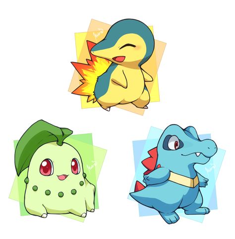 Johto starter pokemon Johto Pokemon, Pokemon Tv, Anime Kingdom, Team Instinct, Pokemon Starters, Pokemon Pocket, First Pokemon, Pokemon Pins, Pokemon Images