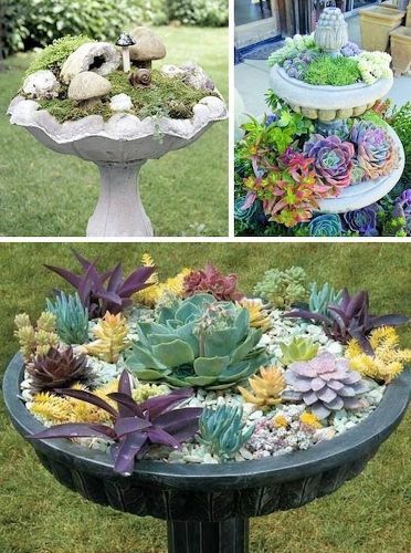 Bird Bath Planter, Types Of Succulents, Meteor Garden 2018, Garden Containers, Creative Gardening, Cactus Y Suculentas, Kew Gardens, Cactus Garden, Little Garden