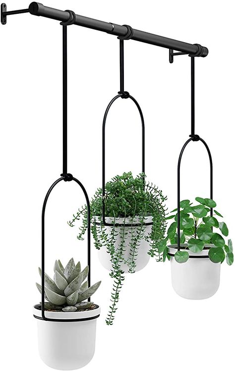 Window Plants, Hanging Planters Indoor, Planter Design, Indoor Herb Garden, Herbs Indoors, House Plants Decor, Small Planter, Hanging Pots, Hanging Planter