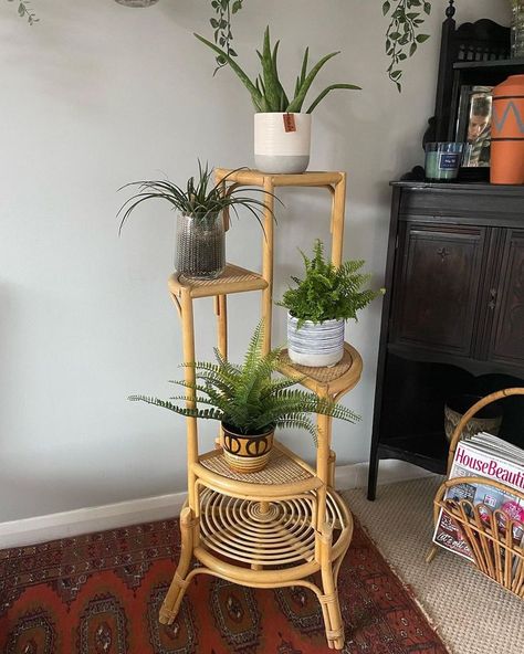 Bamboo Furniture Living Room, Rattan Plant Stand, Room Ideas Aesthetic Vintage, Indoor Bamboo, Bamboo Plant Stand, Pallet Patio Furniture, Bamboo Decor, Cane Furniture, Nursery Room Design