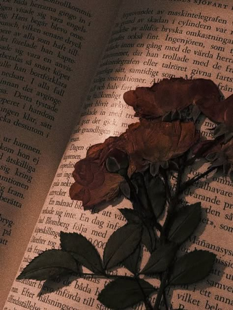 Dark Brown Flowers Aesthetic, Brown Roses Aesthetic, Dried Rose Aesthetic, Dry Rose In Book, Plant Aesthetic Dark, Dried Roses Aesthetic, Caleigh Core, Aesthetic V Pictures, Vampire Girlfriend