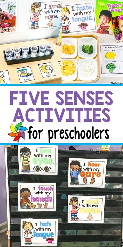 Five Senses Activities For Preschoolers, 5 Senses Activities For Preschoolers, Preschool 5 Senses, 5 Senses Preschool, Five Senses Activities, Science Center Preschool, Five Senses Preschool, Taste Sense, 5 Senses Activities