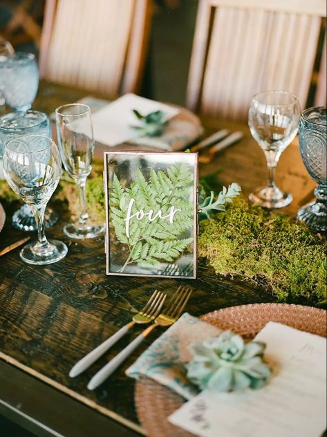 Fern Wedding Decor, Moss Runner, Moss Table Runner, Fern Wedding, Rustic Wedding Ideas, Forest Theme Wedding, Reception Tablescapes, Enchanted Forest Wedding, Woodsy Wedding