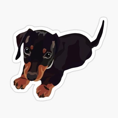 Black Dachshund sticker for water bottles, laptops, and more Dachshund Sticker, Arte Dachshund, Black Dachshund, Dog Black, Pet Vet, Dog Drawing, Dachshund Dog, Cartoon Dog, Happy People