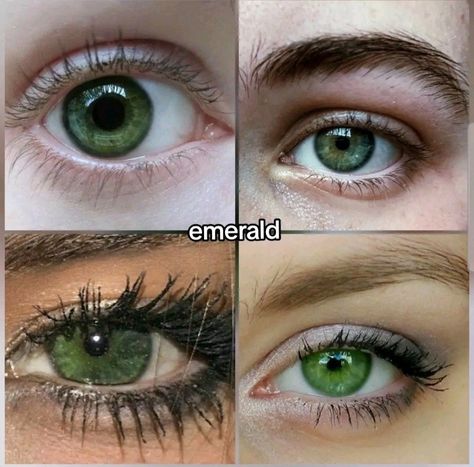 Green Eye Color Palette, Green Eye Color Chart, Different Types Of Green Eyes, Vibrant Green Eyes, Emerald Green Eyes Aesthetic, Heterochromia Eyes Blue And Green, Central Heterochromia Eyes Green Blue, Emerald Eyes Aesthetic, Types Of Green Eyes