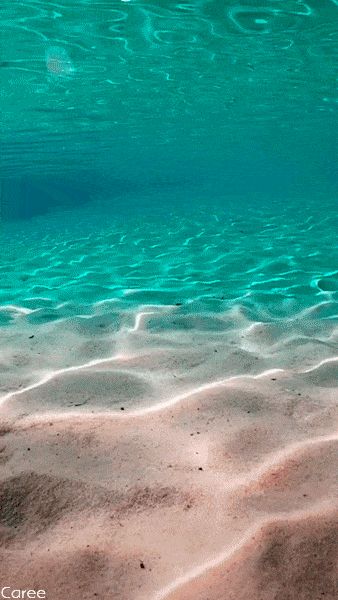 Sea Gif, Ocean Gif, Water Gif, Water Live Wallpaper, Bawah Air, Live Backgrounds, Beautiful Ocean Pictures, Ocean Pictures, Wallpaper Animes