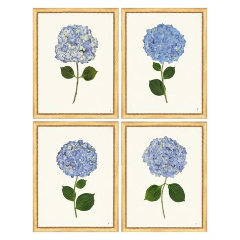 Art – Society Social Hydrangea Picture, Pressed Hydrangea, Hydrangeas Art, Linen Background, Hydrangea Print, Society Social, Hydrangea Not Blooming, Art Society, Blue Hydrangea