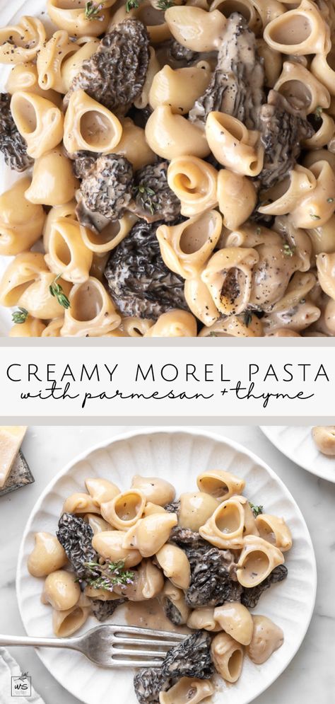 This morel pasta is filled with the rich flavor of morel mushrooms, nutty parmesan and fresh thyme. It’s a decadent pasta dish that is so worthy of your special morel stash! Morel Mushroom Pizza Recipes, Dried Morel Recipes, Morel Mushroom Recipes Pasta, Vegan Morel Mushroom Recipes, Morel Pasta Recipe, Morel Mushroom Pasta, Sauteed Morel Mushroom Recipes, Morell Mushrooms Recipes, Stuffed Morel Mushroom Recipes