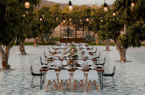 Acre Hotel | San José del Cabo, Baja California Sur, Mexico - Venue Report Mexico Wedding Venue, Hotel San Jose, Festoon Lights, Tulum Wedding, Cabo Wedding, Unconventional Wedding, Cocktails Bar, Cabo Weddings, Beach Wedding Inspiration