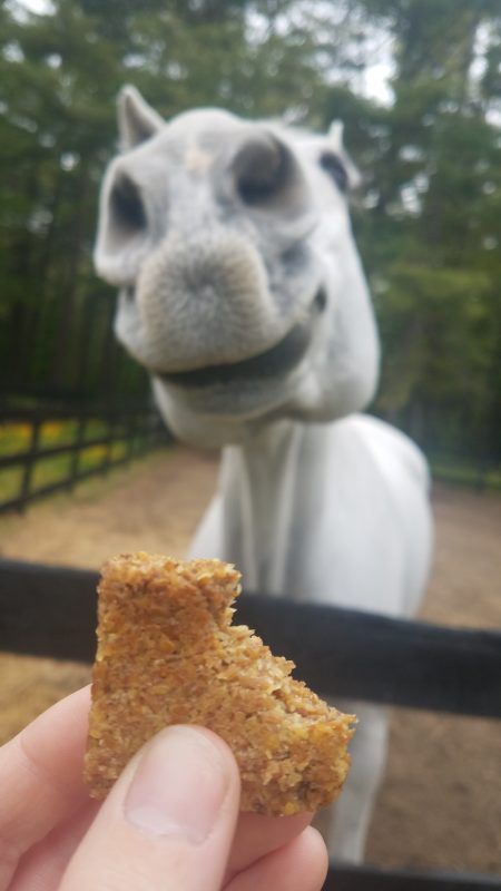 SmartPak Recipe: Low-Sugar Apple Horse Cookies | SmartPak Blog Something To Bake, Horse Cookies Recipes, Homemade Horse Treats, Low Sugar Treats, Apple Cookie, Pet Treats Recipes, Horse Cookies, Apple Treat, Horse Riding Tips