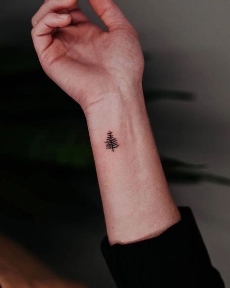 Tree Tattoo Ideas, Small Cross Tattoo, Small Phoenix Tattoos, Heart Temporary Tattoos, Tree Tattoos, Pine Tree Tattoo, Small Butterfly Tattoo, Explore Tattoo, Tattoos For Lovers