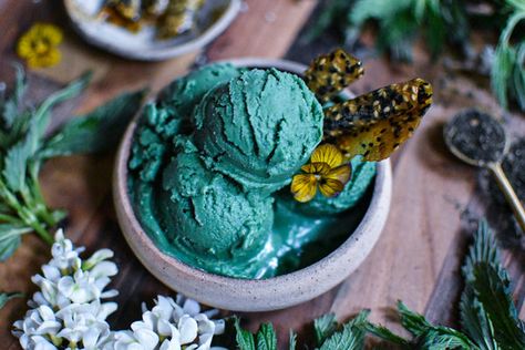 Ice Cream Vegan, Ginger Ice Cream, Vegan Ice Cream Recipe, Foraging Recipes, Foraged Food, Ice Cream Ingredients, Green Food Coloring, Ice Cream Recipe, Vegan Ice Cream