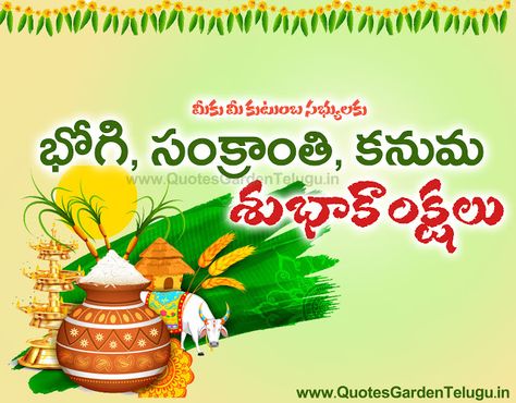 Happy Sankranthi Kanuma greetings images in telugu Bogi Festival Wishes Telugu, Happy Bogi In Telugu, Sankranthi Wishes In Telugu, Happy Bogi, Bhogi Greetings, Sankranti Wishes In Telugu, Happy Sankranti Images, Happy Makar Sankranti Wallpaper, Happy Sankranti Wishes