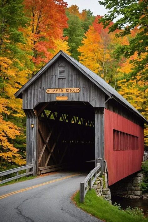 Vermont Covered Bridges, Vermont Architecture, Stowe Vermont Fall, Smugglers Notch Vermont, Covered Bridge Painting, Fall Village, Vermont Homes, Vermont In The Fall, Growing Geraniums