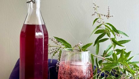 Elderberry Syrup From Dried Elderberries • The Kitchen Apothecary Shrub Drink, Drinking Vinegar, Raw Apple Cider Vinegar, Elderberry Syrup, Alcoholic Cocktails, Non Alcoholic Cocktails, Fermented Drink, Lemon Verbena, Licorice Root