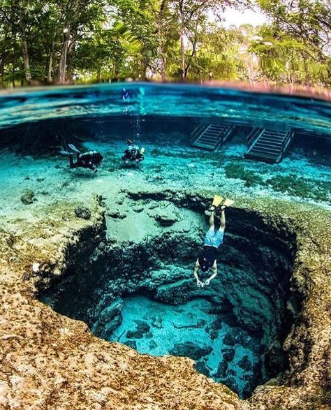 Ginnie Springs Florida, Ginnie Springs, Magic Places, Florida Springs, Springs Florida, Vacation Places, Florida Travel, Alam Yang Indah, Pretty Places