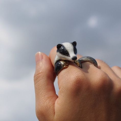 American badger