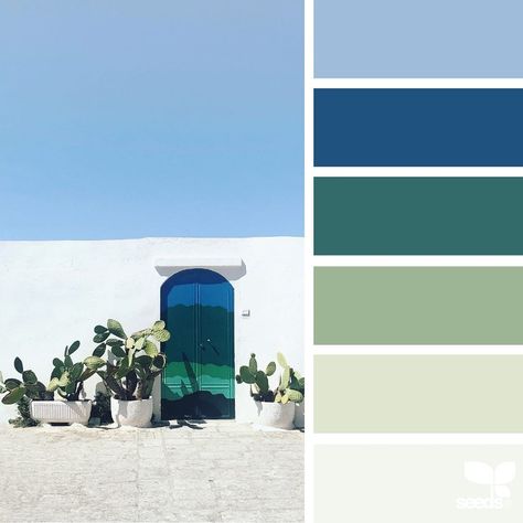 Jessica Colaluca (@designseeds) • Instagram photos and videos Color Psychology Personality, Seeds Color, Vintage Interior Design, Design Seeds, Color Harmony, Color Psychology, Color Studies, Bathroom Colors, Colour Combinations