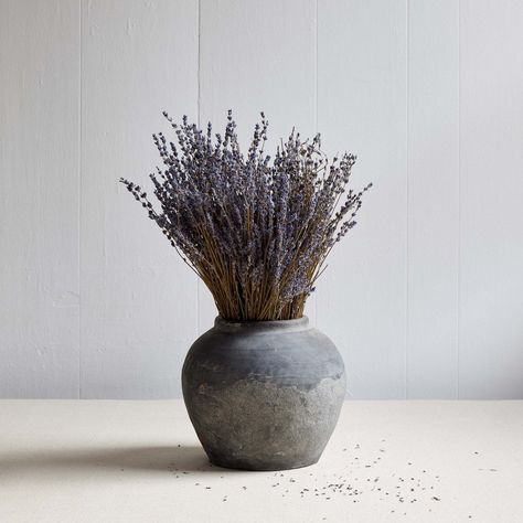 Lavendula Native to the Mediterranean and known for its fragrant, calming scent, Lavender is a member of the Mint family and was first used by the Romans to scent their baths, beds, clothes and even hair. This aromatic dried flower works well alone or in mixed arrangements with complementary dried specimens like our Natural Bunny Tails. You can also tie it with twine or ribbon and hang on the wall for décor and scent and use it as a natural moth repellent in closets or drawers. The lavender is g Long Narrow Dining Room, Narrow Dining Room, Vase Styling, Gray Vase, Peace Home, Cube Decor, Grey Vase, Lavender Decor, Moth Repellent