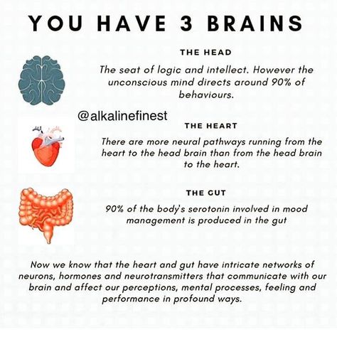 ▪️The head brain analyzes information and applies logic. ▪️The heart brain senses the world through emotion and feelings. ▪️The gut brain is used for understanding our identity and who we are in the world. The gut brain also helps us learn self-preservation by teaching us to follow our instinct – the “gut feeling” we all experience at times. Bears Cartoon, Recovery Coach, Heart Brain, Brain Connections, Holistic Diet, Gut Brain, Health Information, Holistic Lifestyle, Take Care Of Your Body