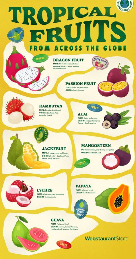 Infographic showing tropical fruits and their tastes and origins including: dragon fruit, passion fruit, rambutan, acai, jackfruit, mangosteen, lychee, papaya, and guava. Fruit Drawings, Fruitarian Diet, Dragonfruit Recipes, Fruits And Vegetables List, Business Merch, Vegetables List, Fruit Dragon, Summer Hangout, Learn Cooking