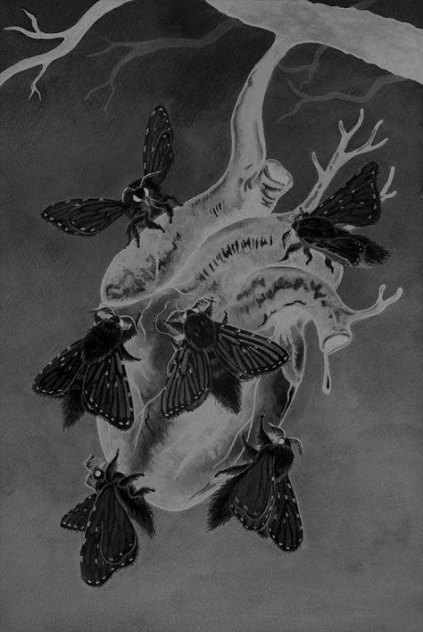 Moth Art Illustration, Moth Aesthetic Dark, Moth Horror, Katrina Aesthetic, Moth Pfp, Moth Wallpaper, Moth Drawing, Arte Grunge, Witch Tattoo