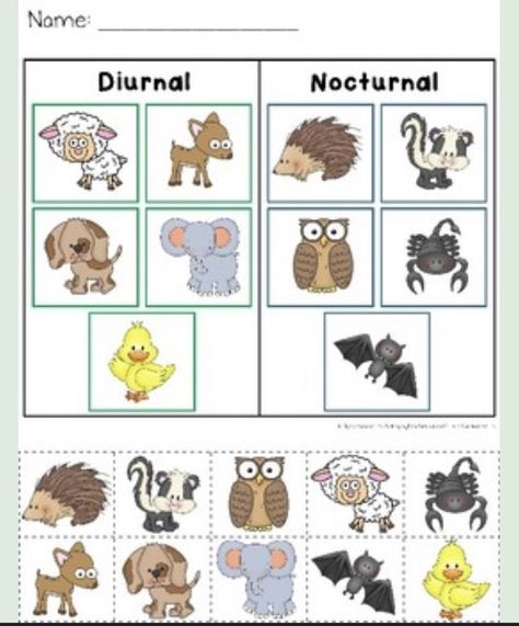 Diurnal Animals, Learning Binder, Animal Worksheets, Free Printables, Preschool, Animals, Art, Pre School