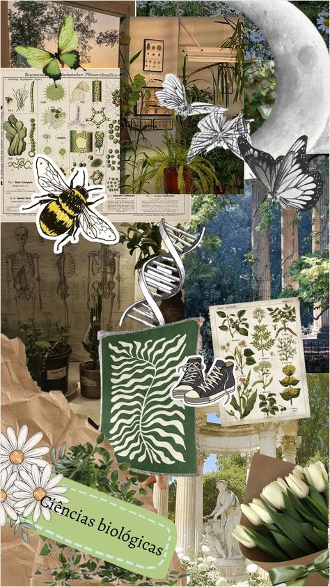 Biology Collage, Zoology Aesthetic, Biology Wallpaper, Wildlife Ecology, Studies Motivation, Biology Aesthetic, Biology Plants, Biology Poster, Study Biology