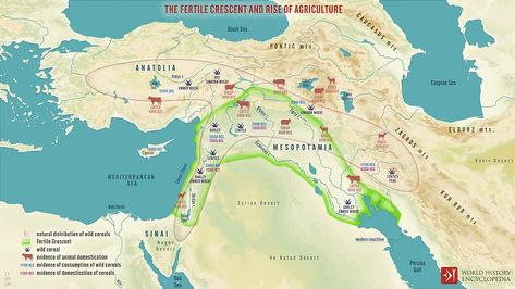 Map of the Fertile Crescent (Illustration) - World History Encyclopedia Neolithic Revolution, Fertile Crescent, Göbekli Tepe, Prehistoric Man, Apa Style, Cradle Of Civilization, Ancient Near East, Ancient Maps, College Classes