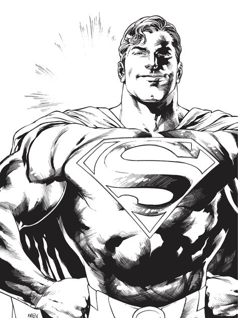 Superman Superman Black And White, Ivan Reis Art, Superman Images, Superhero Background, Superman Story, Superman Pictures, Superman 1, Black And White Comics, Comic Book Collection