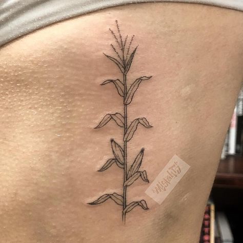 Dainty corn stalk to represent my homegrown, farm roots. Love it!! Corn Stalk Tattoo, Corn Tattoo, Farm Tattoo, Small Girly Tattoos, Theme Tattoo, Plant Tattoo, Tattoo Desings, Girly Tattoos, Tattoo Outline