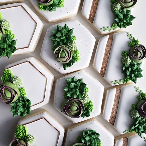 Love making succulent cookies #succulentcookies #hexagon #sugarcookies #cookies #royalicing #cookiegirlsportland #cookiegirls… Plant Sugar Cookies, Succulent Sugar Cookies, Succulents Cookies, Icing Succulents, Succulent Cookies, Succulent Doodle, Succulent Wedding Centerpieces, Succulent Cake, Summer Cookies