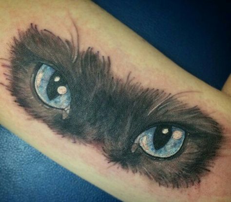 Cats Cat Eyes Tattoo Realistic, Cat Eyes Tattoo, Cat Eye Tattoo, Scratch Tattoo, Cat Eye Tattoos, Eyes Tattoo, Eye Tattoo, Cat Eyes, Color Tattoo