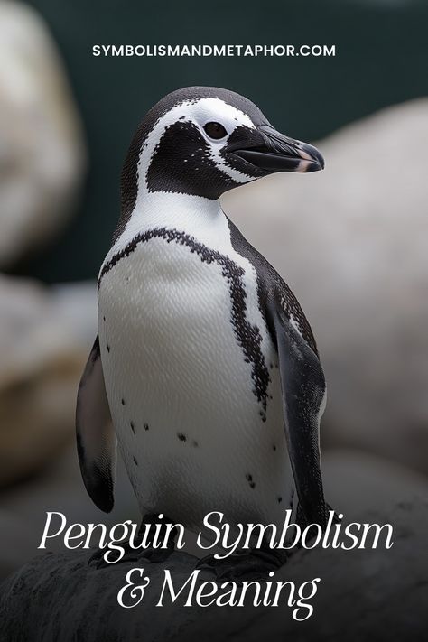 Penguin Symbolism (9 Meanings) Group Of Penguins, Symbol Tattoos With Meaning, Penguin Tattoo, Spirit Animal Meaning, Animal Meanings, Symbolic Tattoos, Birds Flying, Rafting, Spirit Animal