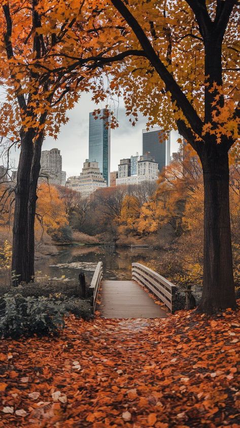 15 Best Spots to See Fall Foliage in New York City Fall Inspo Board, City Park Aesthetic, Beautiful Places Aesthetic, Fall Season Aesthetic, Fall New York City, Fall In New York City, New York City Fall, New York Autumn, Fall In New York