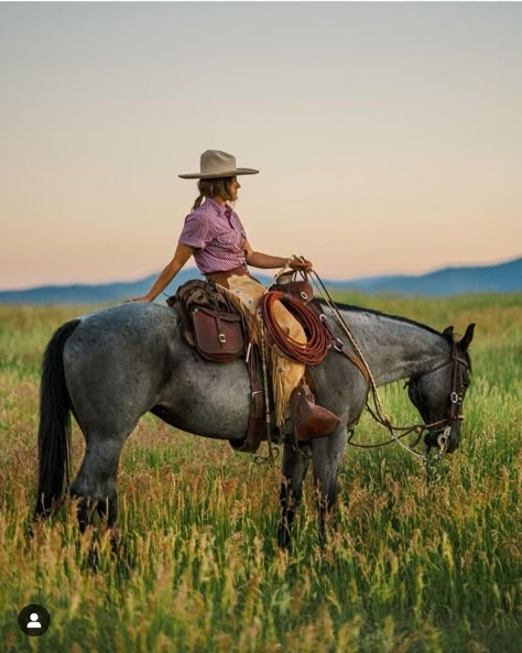 Western Asthetics, Emmie Sperandeo, Western Riding Aesthetic, Quater Horses, Horse Wrangler, Summer Mountains, Western Photography, Cowboy Aesthetic, Farm Lifestyle