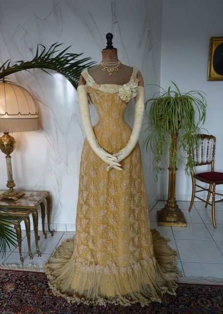 1800s Evening Gown, 1900 Ball Gown, 1910s Ball Gown, 1900s Dresses Ball Gowns, 1900 Dresses Victorian Ball Gowns, Gilded Age Ball Gown, Early 1900s Dresses, 1890s Dress Ball Gowns, Victorian Gowns Ball