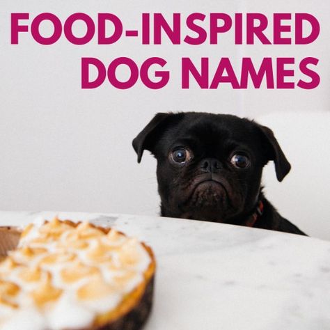 Food-Inspired Dog Names, for Foodies! Best Bagels, Funny Names, Food Names, Puppy Names, Food Humor, Canine Companions, Dog Paws, Dog Names, Pet Names