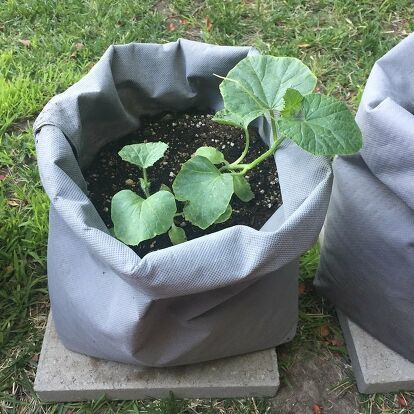 Some of our plants needed to be moved over in bigger containers, so I made DIY grow bags to transfer them into. We had a lot of leftover landscape fabric after building the Square Foot Garden boxes and I decided to use it for this project. The material is sturdy and made for gardening, so it’d work great. I found this tutorial on how to DIY grow bags and it was a helpful starting point. I wanted to make our bags stronger and easier to carry, so I made some changes: Doubled the fabric… Diy Grow Bags, Fabric Grow Bags, Distressing Painted Wood, Square Foot Garden, Homemade Fabric Softener, Unusual Planter, Paint Stir Sticks, Laundry Soap Homemade, Garden Spheres